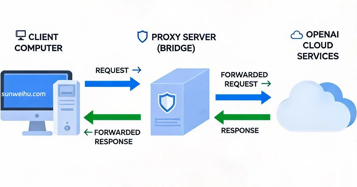Codex Proxy：国内用户代理配置完全指南——墨涩网
